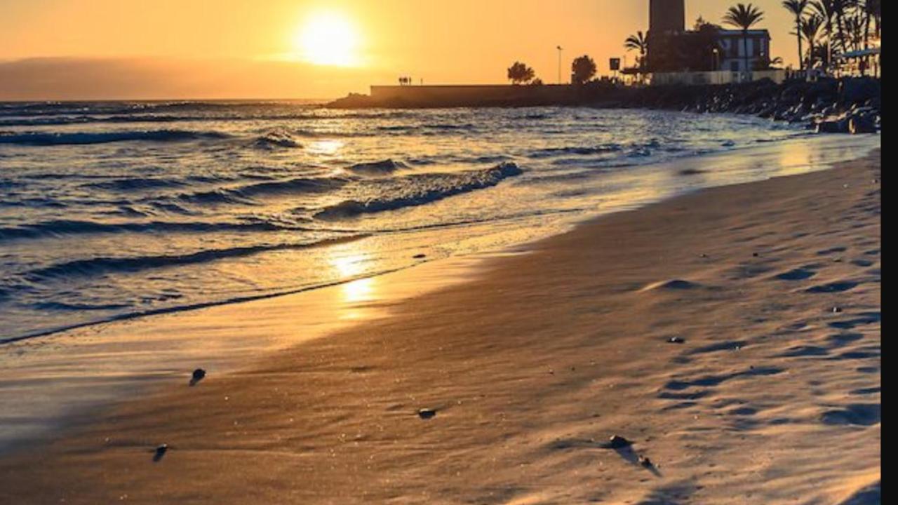 El Nido De Los Angeles Apartment ปลายา เดล อิงเกลส ภายนอก รูปภาพ